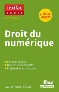 Droit du numérique. Le guide - Salaün Paul