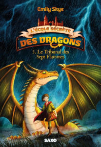 L'école secrète des dragons Tome 5 : Le tribunal des sept flammes - Skye Emily ; Nöldner Pascal ; Leroy Lyse