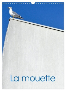 La mouette (Calendrier mural 2026 DIN A3 horizontal), CALVENDO calendrier mensuel. Photographies des - Thébault Patrice