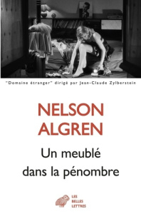 Un meublé dans la pénombre - Algren Nelson ; Shay Art ; Hayat Jeannine ; Horvat