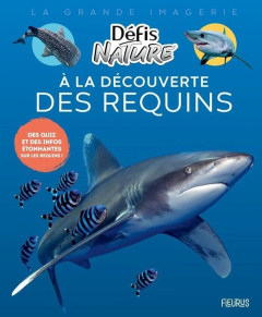 À la découverte des requins - Vallot Damien