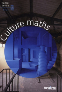 Culture maths. Choix d'articles de la revue Tangente - Witkowski Nicolas