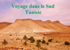 VOYAGE DANS LE SUD TUNISIE LIVRE POSTER DIN A4 HORIZONTAL - SIBOURG DIDIER
