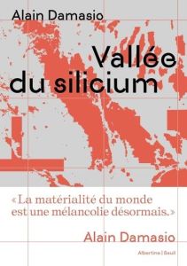 Vallée du silicium - Damasio Alain