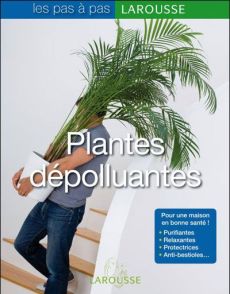 Plantes dépolluantes - Boudassou Bénédicte