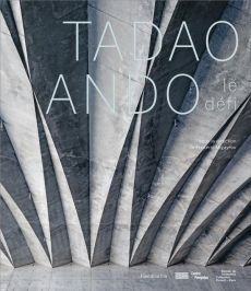 Tadao Ando. Le défi - Migayrou Frédéric - Ando Tadao - Lavisgnes Serge