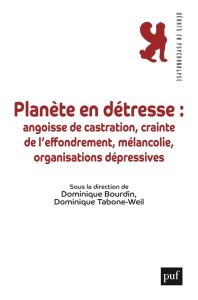 Planète en détresse : fantasmes et réalités - Bourdin Dominique/tabone weil  dominiq - Bourdin D