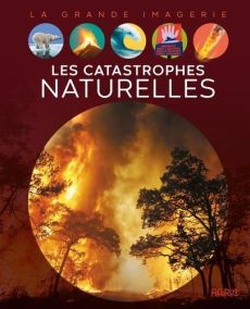 Les catastrophes naturelles - Franco Cathy - Dayan Jacques