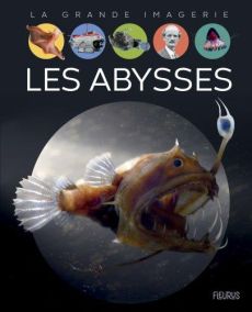 Les abysses - Cambournac Laure