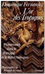 L'or des tropiques. Promenades dans le Portugal et le Brésil baroques - Fernandez Dominique - Ferranti Ferrante