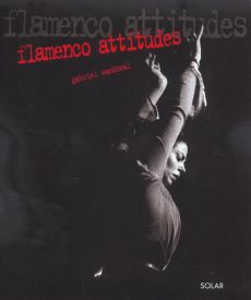 Flamenco attitudes - Sandoval Gabriel