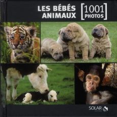 Les bébés animaux - Millarca Suzanne - Viard Michel