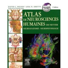 Atlas de neurosciences humaines de Netter. 2e édition - Felten David - Shetty Anil