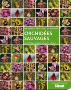Orchidées sauvages - Anglade Jean-Philippe - Le Driant Franck - Dotti L