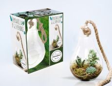 Bubble terrarium. Coffret avec 1 terrarium en verre, 1 corde et 1 livre - Chapman Baylor - Green Paige
