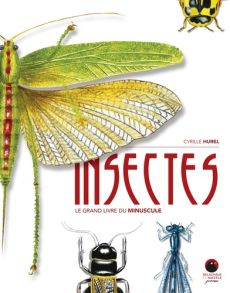 Insectes. Le grand livre du minuscule - Hurel Cyrille