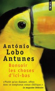 Bonsoir les choses d'ici-bas - Antunes António Lobo - Batista Carlos