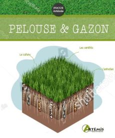 Pelouse & gazon - Sasias Gérard