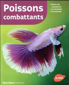 Poissons combattants - Lacroix Renaud