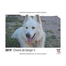 CHIENS DE BERGER II 2019 - CALENDRIER DE BUREAU TIMOKRATES, CALENDRIER PHOTO, CALENDRIER PHOTO - DIN - TIMOKRATES VERLAG