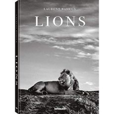 Lions. Edition français-anglais-allemand - Baheux Laurent
