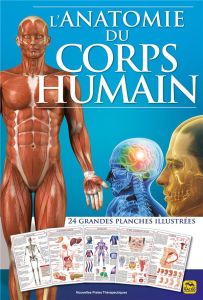 L'anatomie du corps humain. 24 grandes planches illustrées - Naccarato Chiara - Di Stefano Marylène