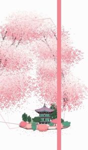 Agenda Cerisiers en fleurs de Corée. Edition 2024 - COLLECTIF