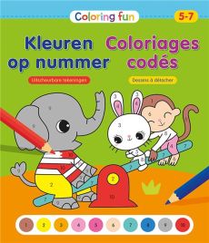 Coloriages codés. Edition bilingue français-néerlandais - THEISSEN, PETRA P.