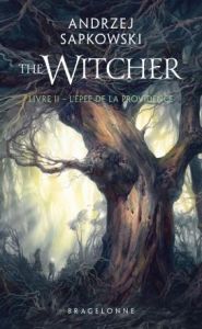 The Witcher Tome 2 : L'Epée de la providence - Sapkowski Andrzej - Dayet Alexandre