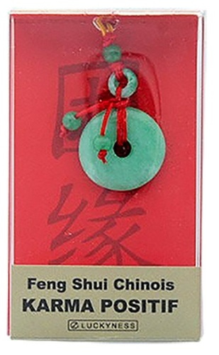 Emprunter PORTE-BONHEUR FENG-SHUI JADE KARMA POSITIF livre