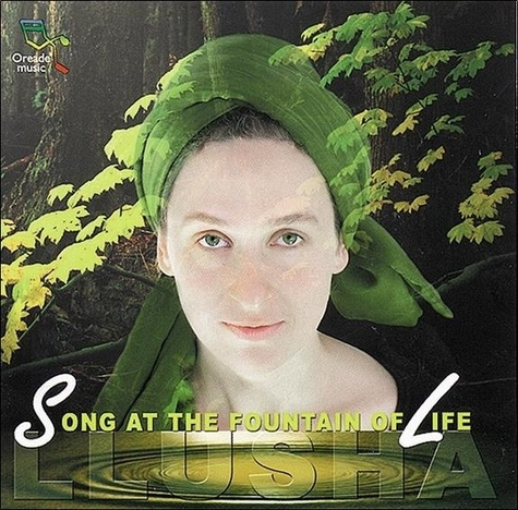 Emprunter Song at the Fountain of Life livre