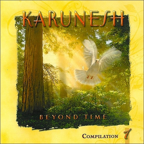 Emprunter Beyond Time livre