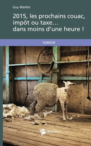 Emprunter 2015, les prochains couac, impôt ou taxe dans moins d'une heure ! livre