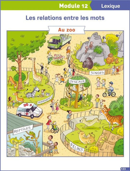 Emprunter FRANCAIS EXPLICITE CE1 - POSTERS - ED. 2019 livre