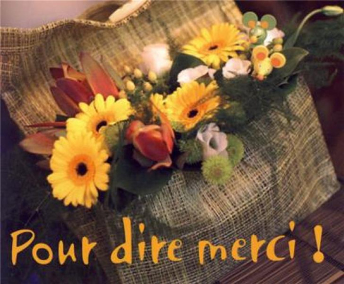 Emprunter Pack pour dire merci 5ex mp135 livre