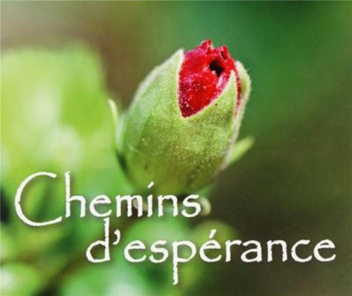 Emprunter Pack chemins d'esperance 5ex mp132 livre