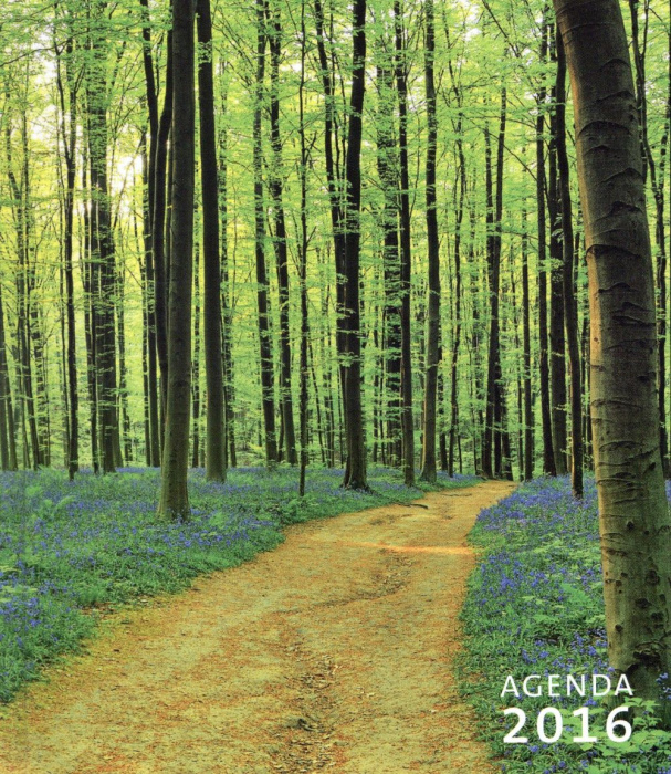 Emprunter AGENDA PRIER 2016 livre