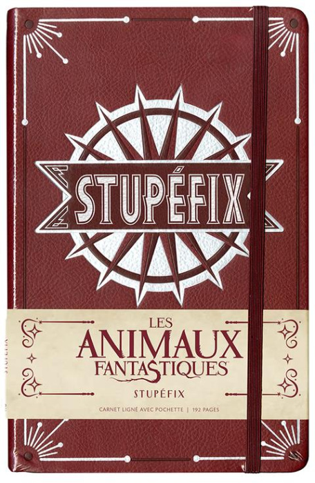 Emprunter CARNET GRAND FORMAT STUPEFIX livre