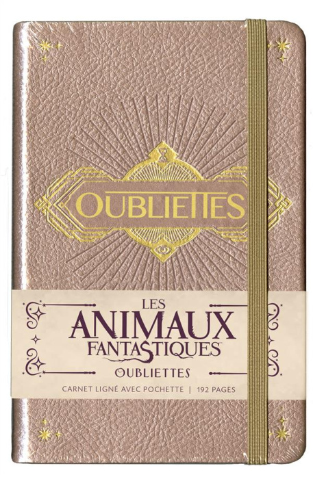 Emprunter CARNET PETIT FORMAT OUBLIETTES livre