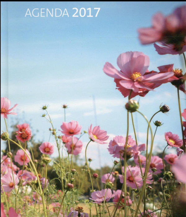 Emprunter AGENDA PRIER 2017 livre