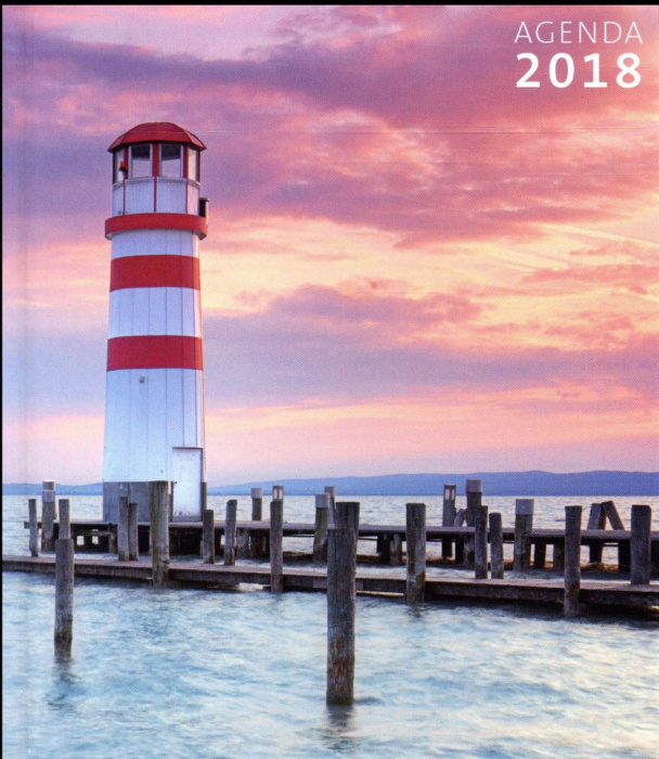 Emprunter AGENDA PRIER 2018 livre