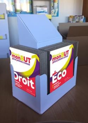 Emprunter PLV REUSSIR MON BUT livre