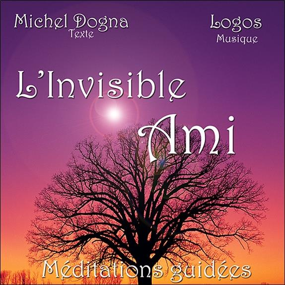 Emprunter L'Invisible Ami livre