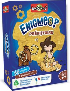 Emprunter ENIGMES - PREHISTOIRE livre