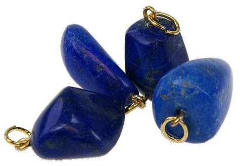 Emprunter LOT DE 10 PENDENTIFS - LAPIS LAZULI livre