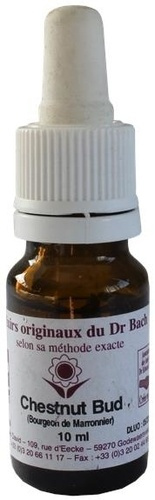 Emprunter ELIXIR FLORAL N 7 - CHESTNUT BUD livre