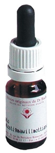 Emprunter ELIXIR FLORAL N 31 - VERVAIN livre