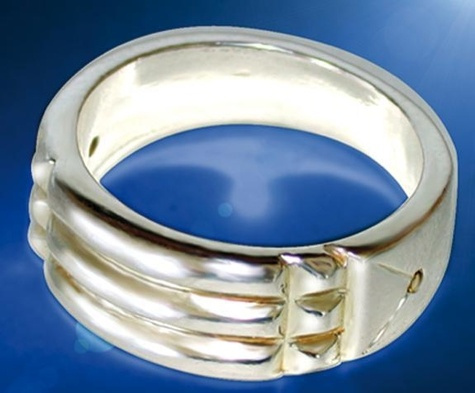 Emprunter BAGUE EGYPTIENNE - PLAQUE ARGENT - TAILLE 60 livre