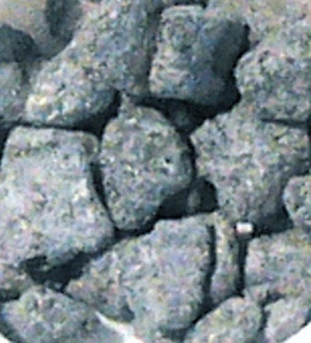 Emprunter ENCENS NOIR - BOITE DE 80 GRS. livre