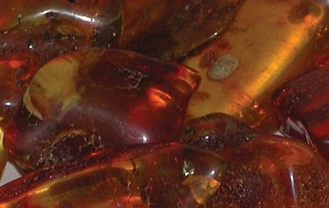 Emprunter LOT DE 10 PIERRES PETIT MODELE : AMBRE livre